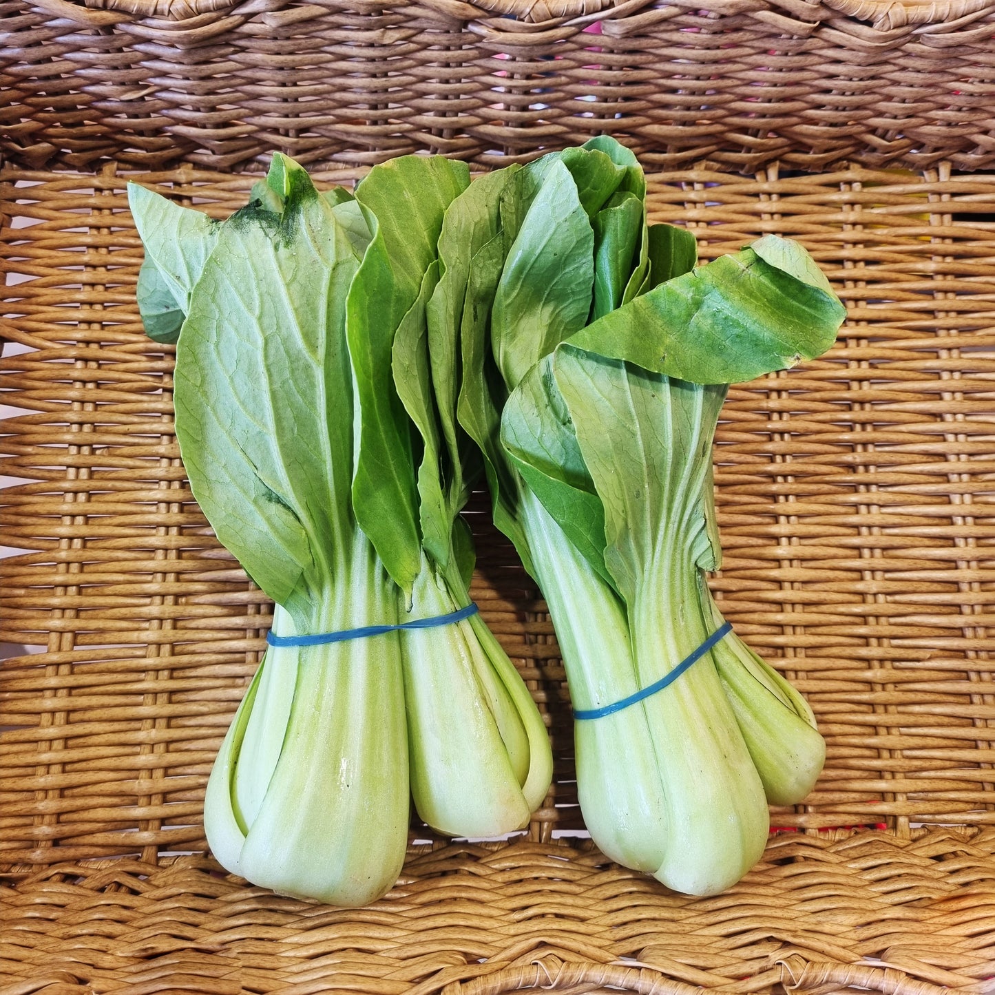 Bok Choi 청경채 4bunch