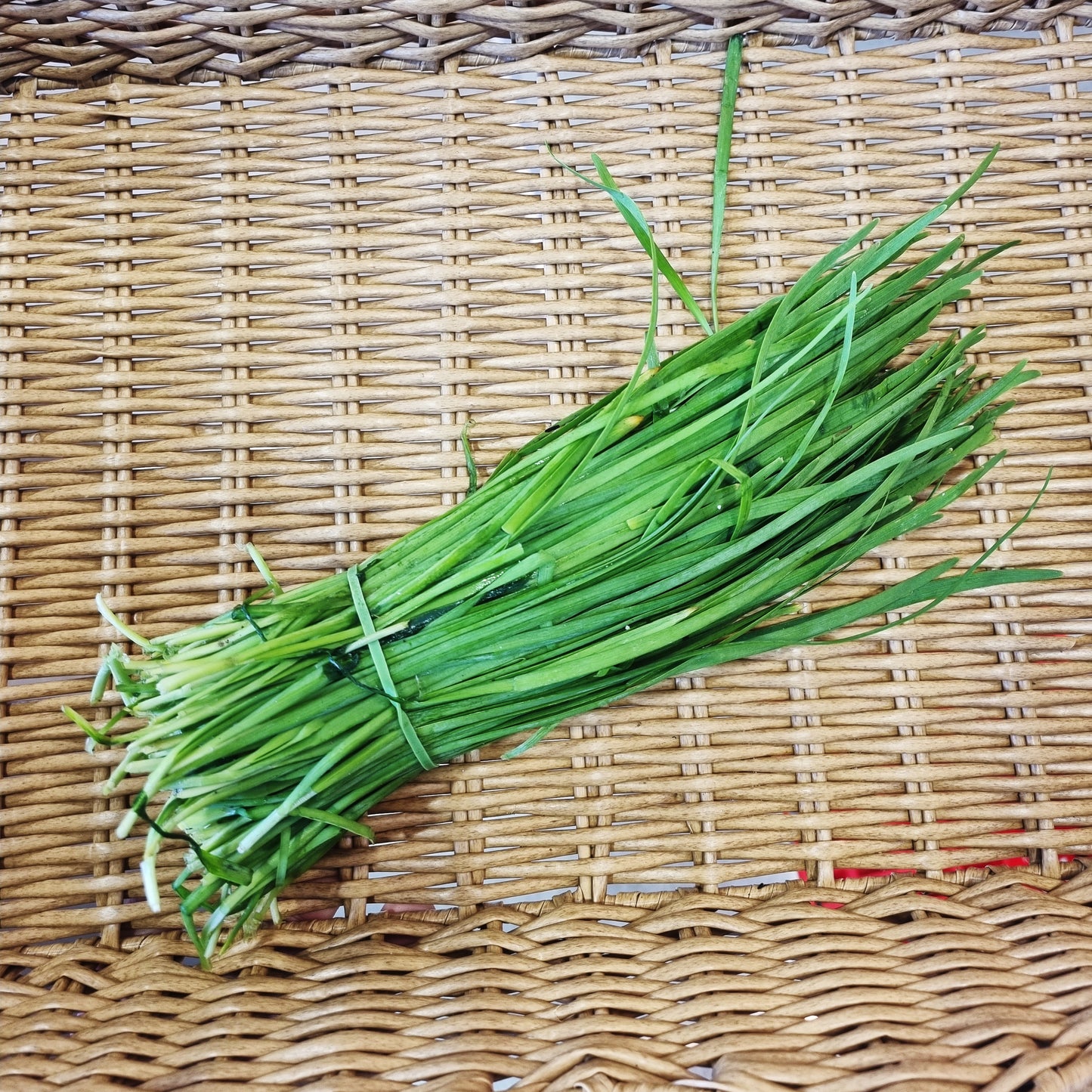 Garlic chives 부추 1bunch